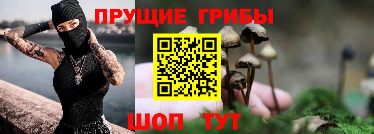 Псилоцибиновые грибы Psilocybe  Галлюциногенные грибы MAGIC MUSHROOMS  Вход с VPN  Ливны 